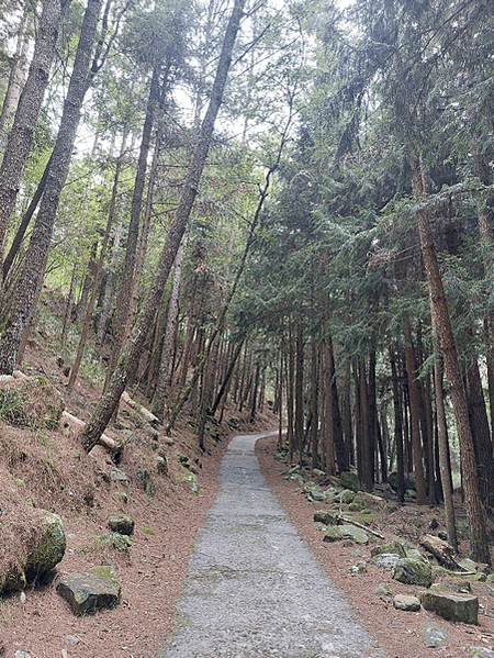 四分之一島鏈之旅(下集)~武陵、福壽山之鳥語花香