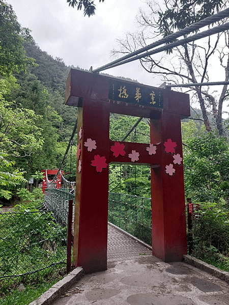 四分之一島鏈之旅(下集)~武陵、福壽山之鳥語花香