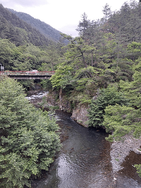 四分之一島鏈之旅(下集)~武陵、福壽山之鳥語花香