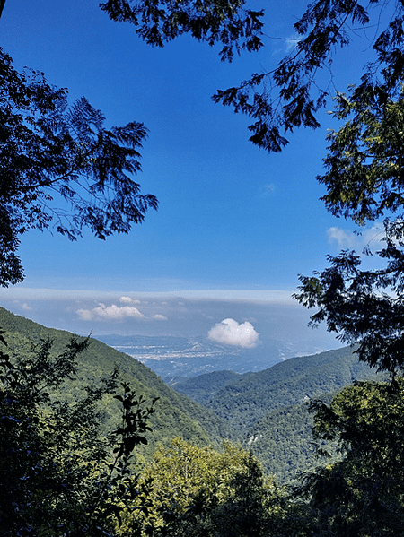 2024就來爬個2024的橫嶺山~順走沙蓮山(橫沙縱走)