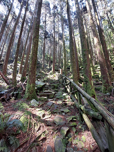 2024就來爬個2024的橫嶺山~順走沙蓮山(橫沙縱走)