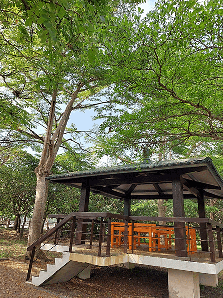 舊山線順遊之行