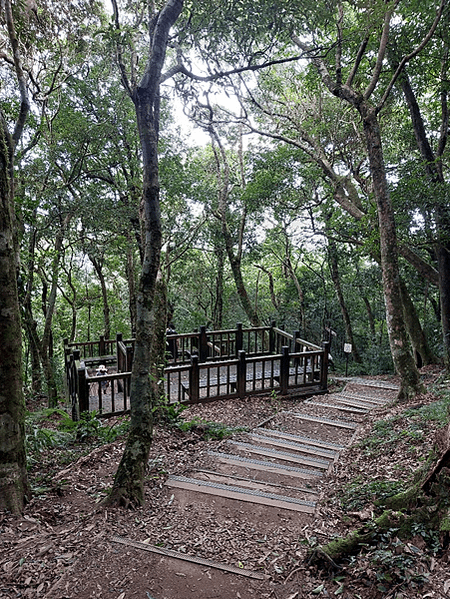 看大溪雪(韭菜花)、再上東眼山、走桃園綠園道