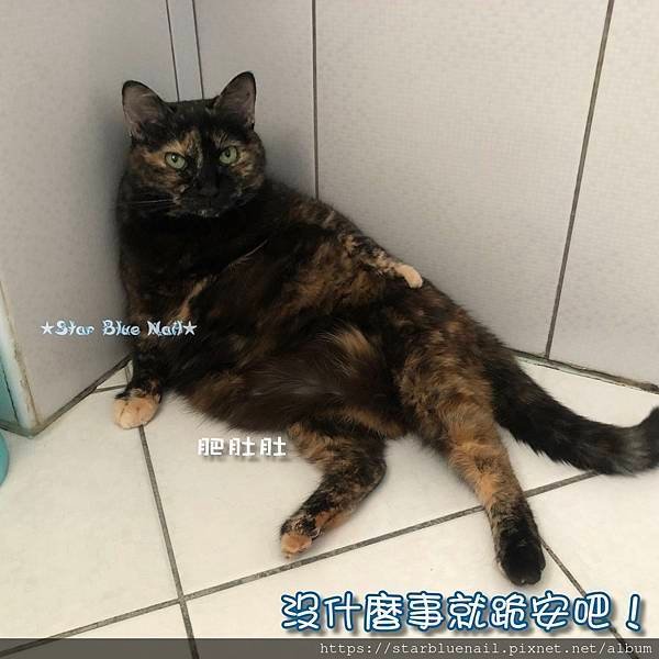 貴妃坐-方2