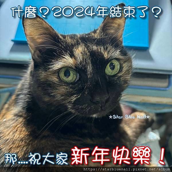 驚訝貓貓2