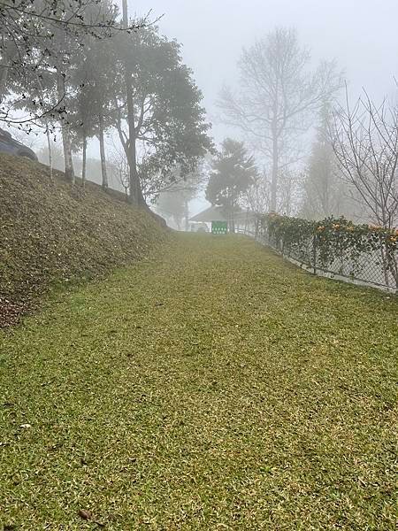 「露營ya」NO.38露-杉嵐營地，森林系景點/櫻花露營/衛