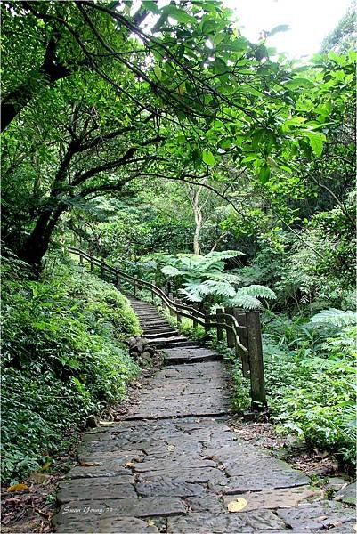 20130507承天禪寺-07