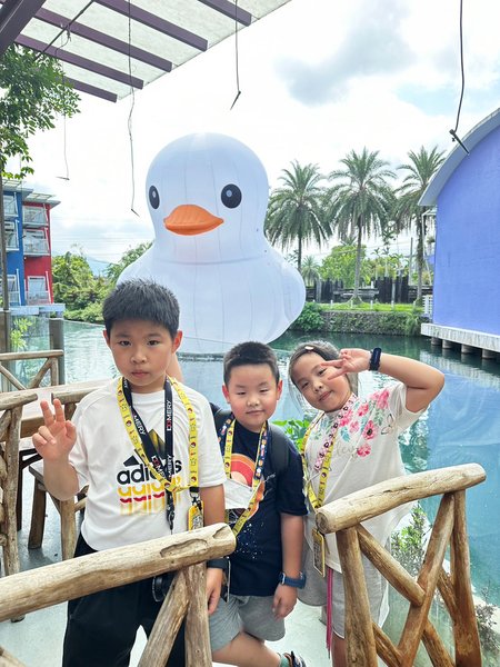 【水岸森林物語動物園區宜蘭冬山】全台最大湖中巨大白色柯爾鴨熱