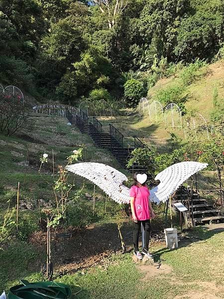 [苗栗景點] 雅聞七里香玫瑰森林-免門票觀光工廠 四館齊放玫