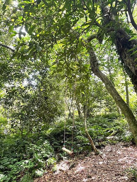 秘境野炊、溪邊抓蝦、海邊玩水、山上泡茶瘋露營看見台灣之美