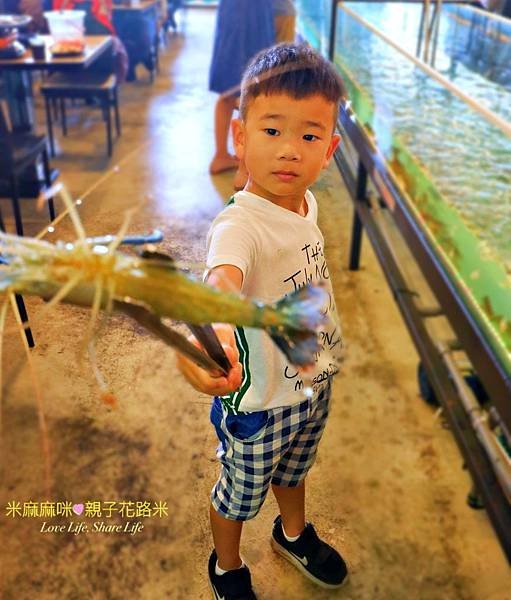 林口 泰蝦PA  泰國活蝦吃到飽 流水蝦吃到飽
