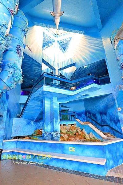 澎湖水族館, 澎湖全新開幕室內親子景點,澎湖 海底隧道, 澎湖 海龜