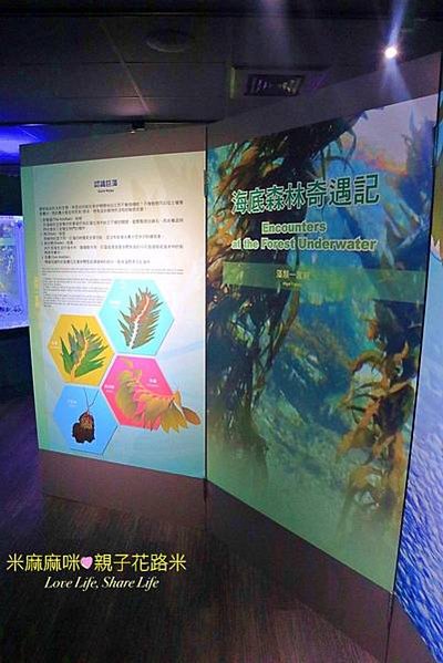 澎湖水族館, 澎湖全新開幕室內親子景點,澎湖 海底隧道, 澎湖 海龜