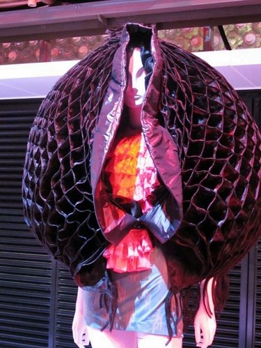 05.jpg