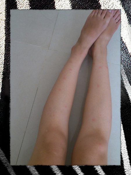 回上一層(熱鍵:b)
