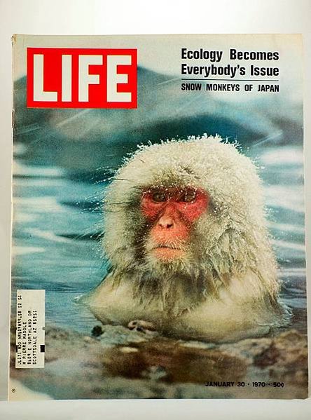 LIFE雜誌.jpg