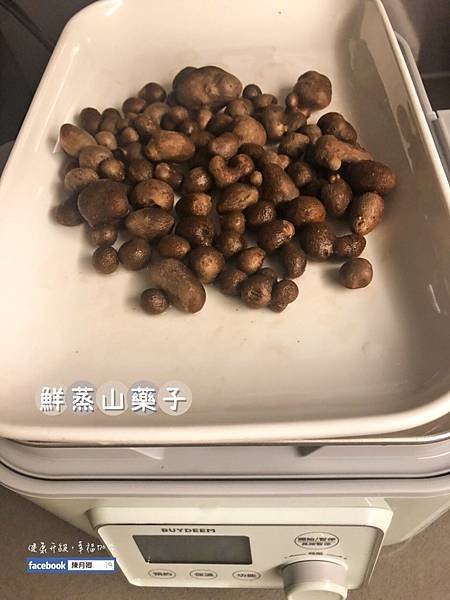 20221019_北鼎蒸燉鍋(12)_鮮蒸山藥子山藥豆