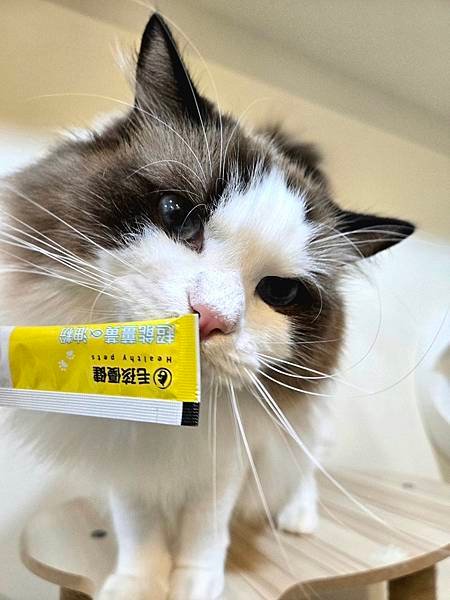 毛孩優健 超能薑黃魚油粉 - 全方位守護貓狗健康