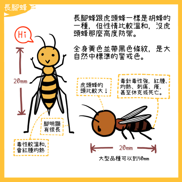 [在宜蘭生活] 認識蜜蜂與處理方法