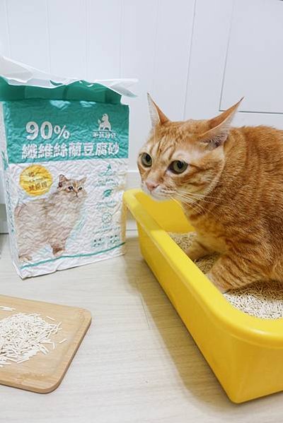 纖維絲蘭-豆腐砂-13