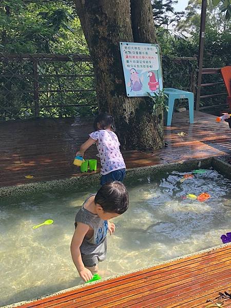 【桃園 新竹景點】2019森林鳥花園 最貼心的親子景點 新竹2天1夜/超長森林 最貼心的親子景點 新竹2天1夜/超長森林溜滑梯/戲水消暑/生態鳥園/樹屋/賽車場/新埔推薦景點/IG打卡溜滑梯/戲水消暑/生態鳥園/樹屋/賽車場/新埔推薦景點/IG打卡