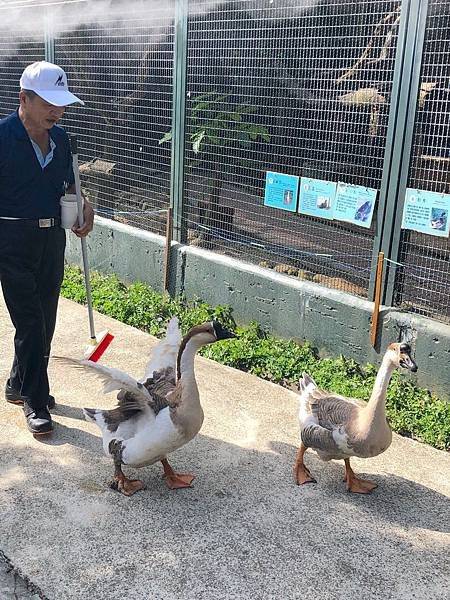 【桃園 新竹景點】2019森林鳥花園 最貼心的親子景點 新竹2天1夜/超長森林 最貼心的親子景點 新竹2天1夜/超長森林溜滑梯/戲水消暑/生態鳥園/樹屋/賽車場/新埔推薦景點/IG打卡溜滑梯/戲水消暑/生態鳥園/樹屋/賽車場/新埔推薦景點/IG打卡