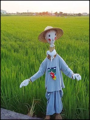 三奇伯朗大道_031.jpg