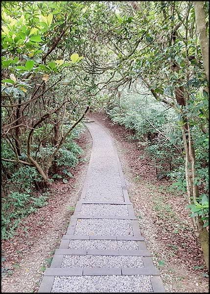 情人湖環山步道-3_027.jpg