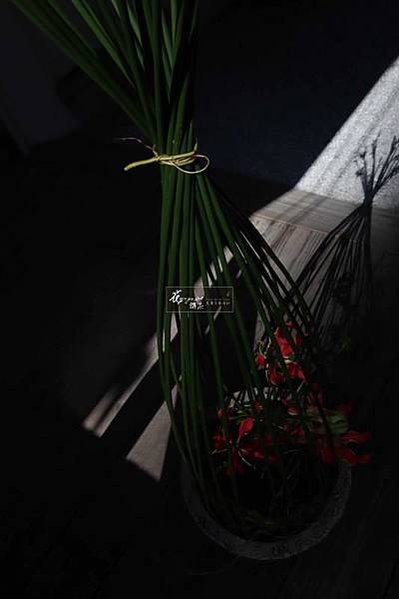 WeChat 圖片_20191226180333