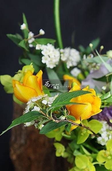 IMG_4240s