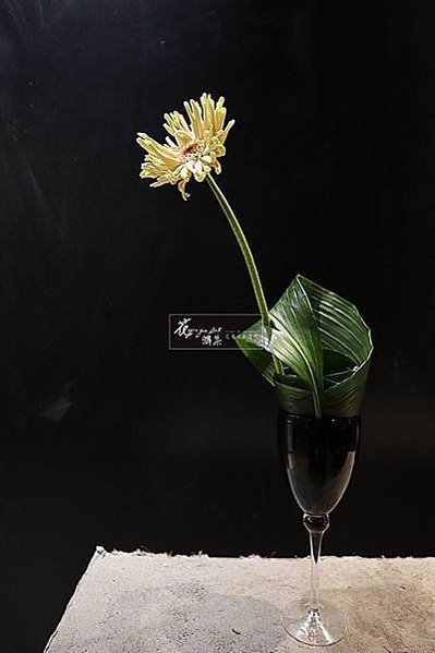 IMG_1455