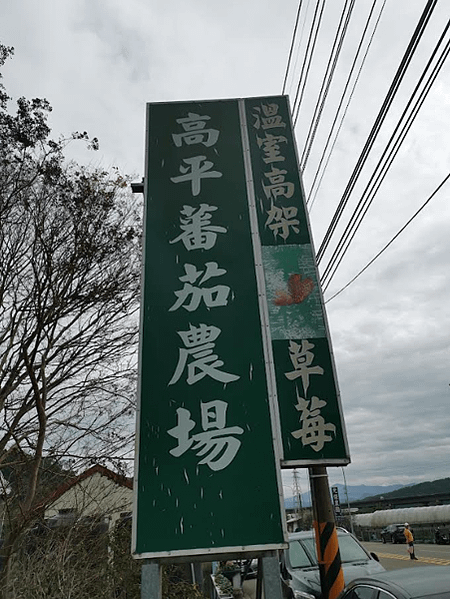 [旅行][新竹][關西]高平番茄(草莓)農場