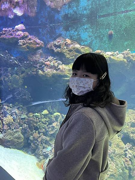 桃園 Xpark水族館 桃園室內景點 親子行程、情侶約會行程