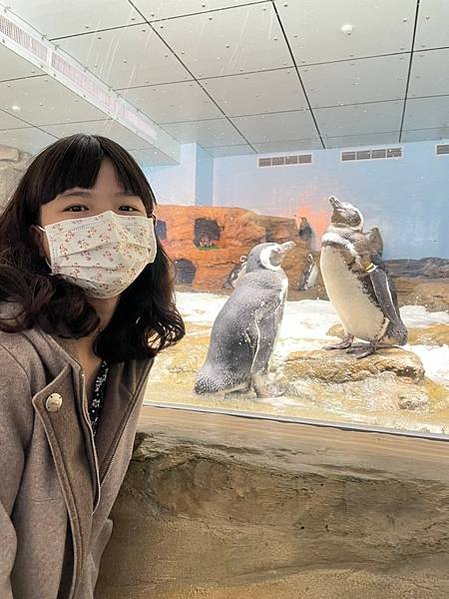 桃園 Xpark水族館 桃園室內景點 親子行程、情侶約會行程