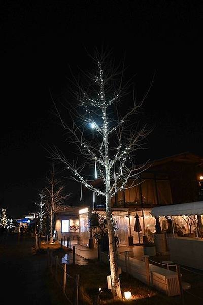 【日本大阪】日本聖誕燈景點，天王寺站，鄰近足球場，感覺就是日