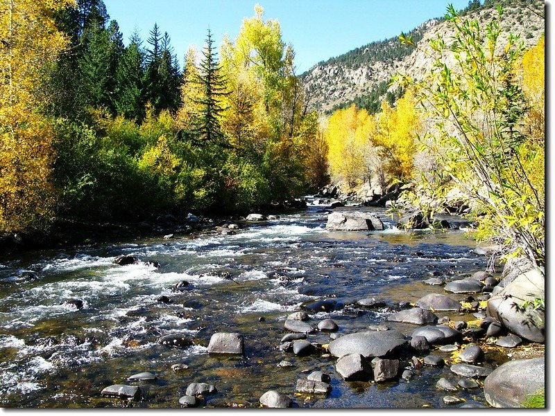 The color of Fall along Clear Creek 10