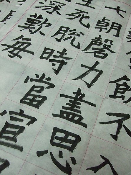 DSCF8549.JPG