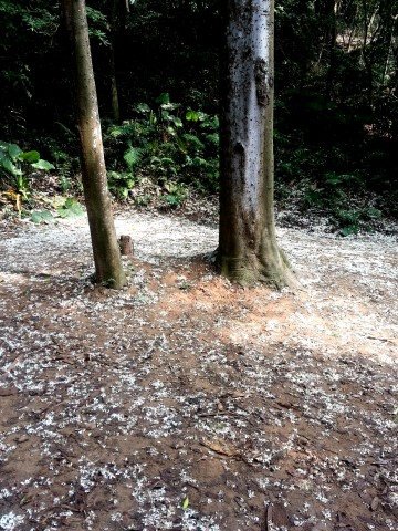 20140427_083521.jpg