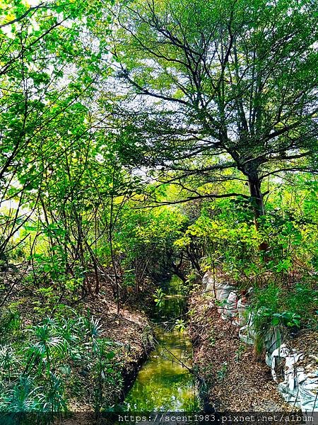 ＊【台南開箱】超酷的城市森林「巴克禮紀念公園」荒野公園，你我