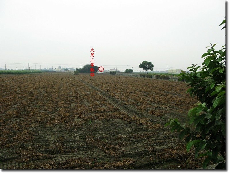 雲林土庫大荖(老)三等三角點點位 2