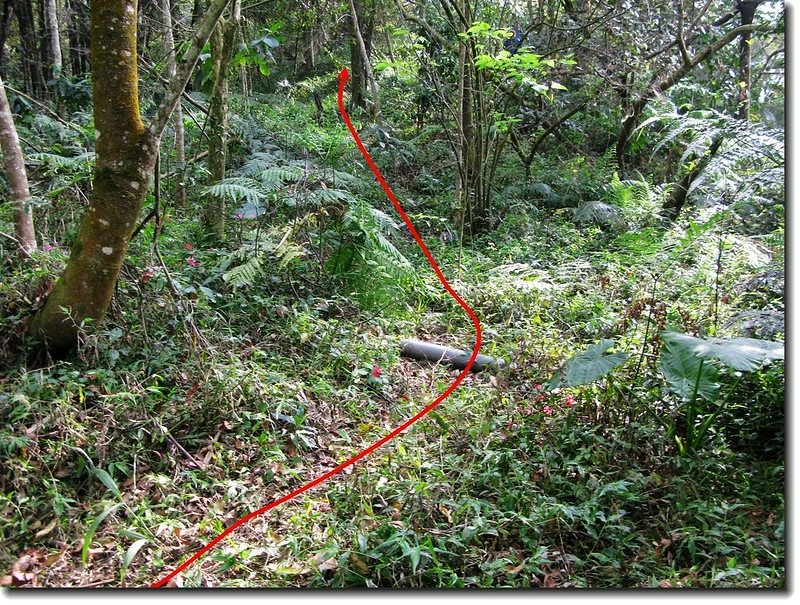 茅山登山土泥產業道路