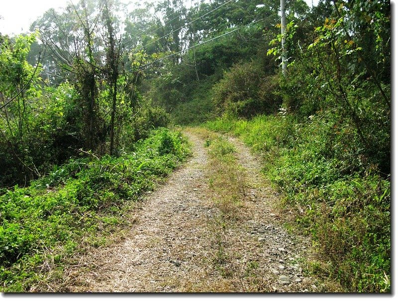 茅山登山石子產業道路