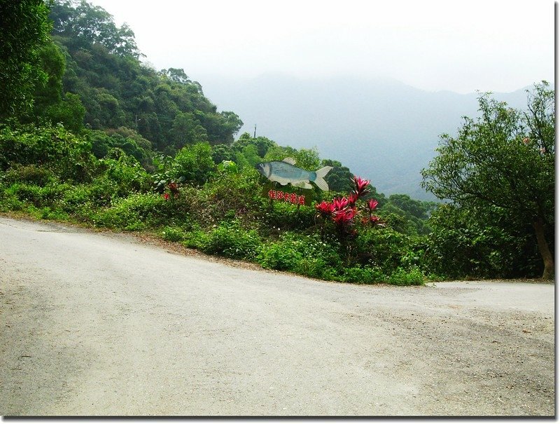 沙溪林道岔路 1