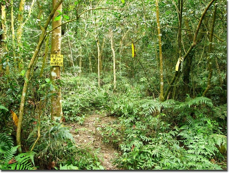 庵婆加山登山口 2