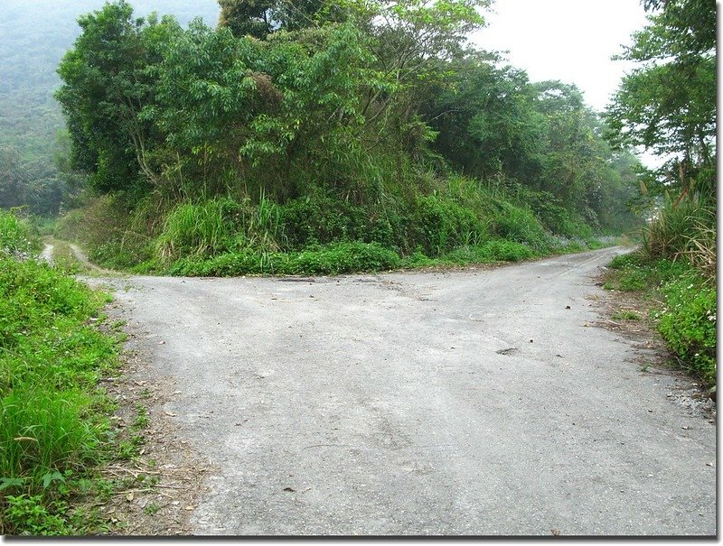 沙溪林道稜線岔路