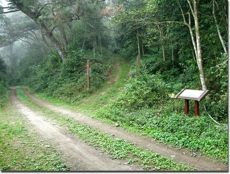 沙溪林道尾寮山登山口 2