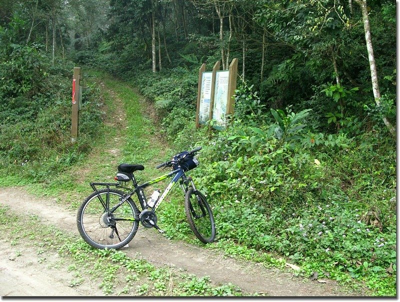 沙溪林道尾寮山登山口 3