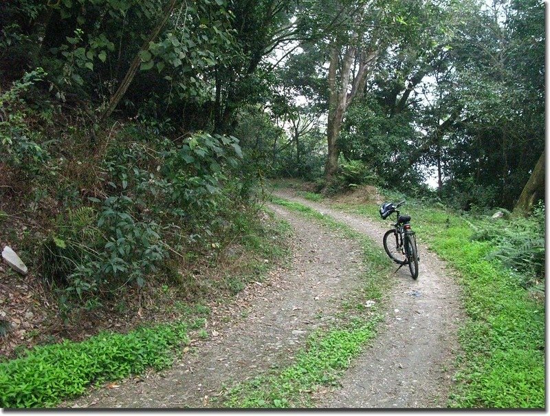 沙溪林道大津山登山口 2