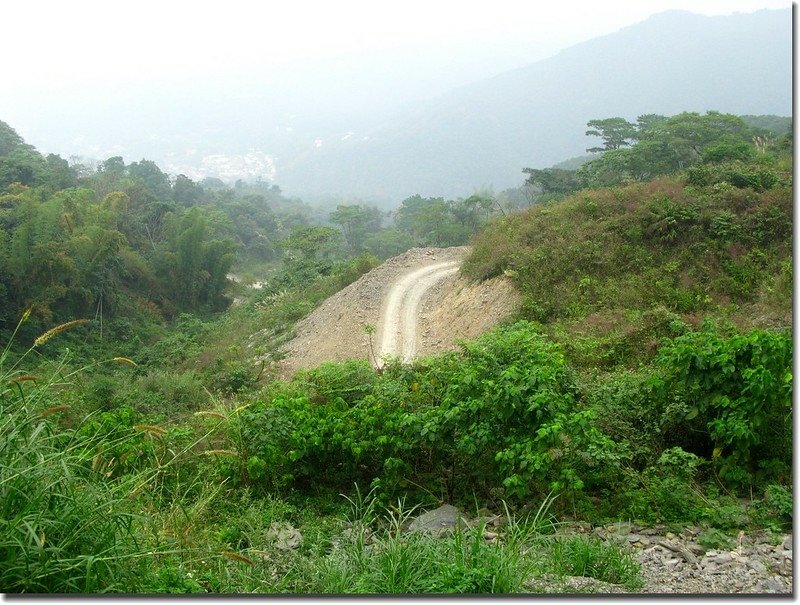 青山村上沙溪林道產業道路 2