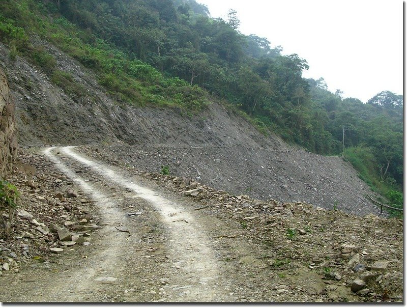 青山村上沙溪林道產業道路 1